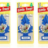 Little Trees Hanging Bouquet Paper Car Air Freshener | 10g