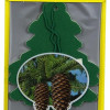 Little Trees  Royal Pine Hanging  Car Air Freshener | 10g