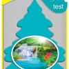 Little Trees Hanging Rainforest Mist Car And Home Air Freshener | 10g