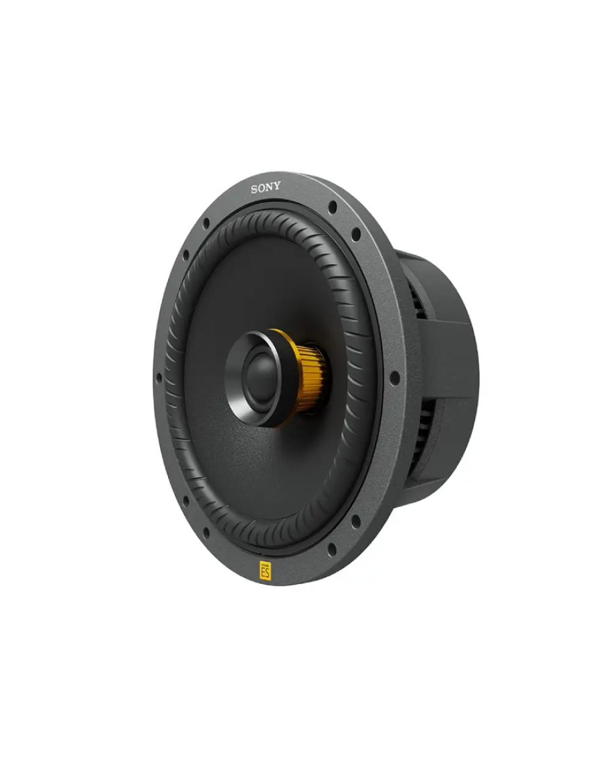 Sony XS 160ES 16 cm 6.3 Inch Mobile ES Series 2 Way Coaxial Speakers